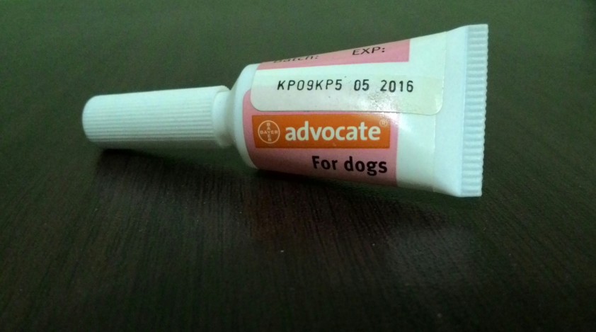 This is turning out to be a blog on dog products, yes?